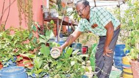 vegetables-for-home-use-on-terraced-garden-paralympics-are-amazing-on-madurai