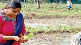 woman-returned-to-madurai-from-america-for-organic-farming