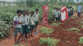 primary-school-students-went-on-a-field-trip-to-learn-organic-farming