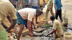 drainage-problem-in-alangulam