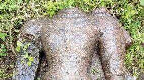 a-1200-year-old-kathavarayan-statue-found-near-aruppukkottai
