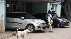 catch-dogs-threatening-patients-madurai-hospital-management-letter-to-corporation