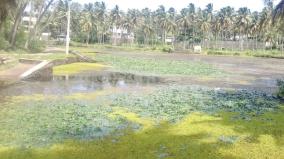 1200-ponds-are-endangered-in-kumari