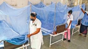 special-ward-for-dengue-treatment-on-salem-govt-hospital