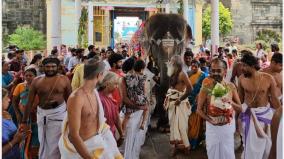 new-elephant-for-chidambaram-nataraja-temple