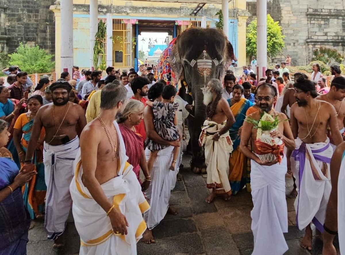 சிதம்பரம் நடராஜர் கோவிலுக்கு புதிய யானை – கும்ப மரியாதையுடன் வரவேற்ற தீட்சிதர்கள் | New elephant for Chidambaram Nataraja temple
