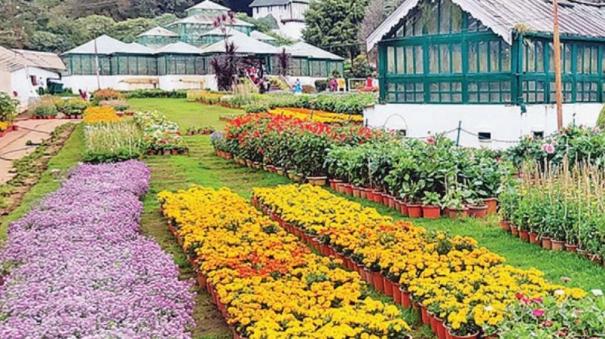 15000 Pots of Flowers Bloom for 2nd Season at Udhagai Botanical Gardens