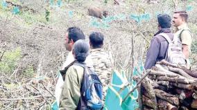 wild-elephant-camped-on-barijam-lake-area-forest-department-keeps-surveillance