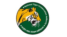 tiger-deaths-on-nilgiri-forests-national-tiger-conservation-commission-officials-to-investigate-today