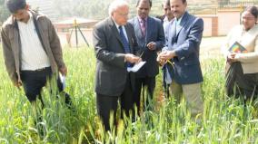agronomist-swaminathan-committee-recommendation-for-msp-for-tea-is-only-hope