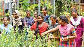 butterflies-are-the-sign-of-happiness-will-there-be-a-park-in-alagar-kovil