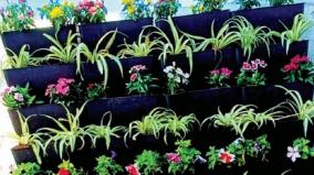 vertical-garden-that-increases-oxygen-levels-green-environment-that-cures-stress