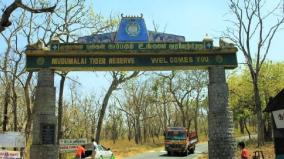 launch-of-dedicated-website-for-eco-tourism-booking-in-mudumalai