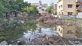 a-feast-for-mosquitoes-with-stagnant-rainwater-in-perungalathur