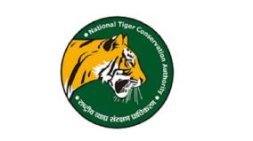 tigers-deaths-due-to-natural-causes-on-nilgiris-national-tiger-conservation-authority-notice