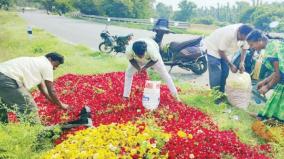 denkanikottai-farmers-dump-flowers-on-roadside-due-to-fall-on-prices