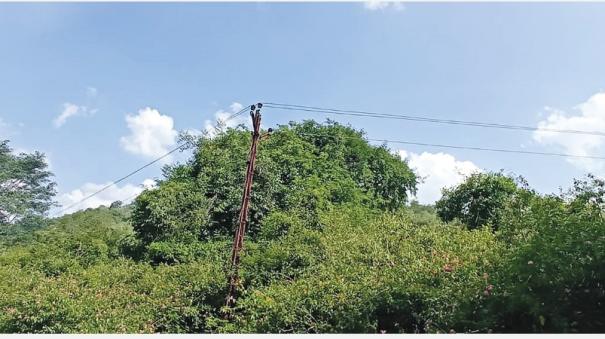 electric cable issue in hosur forest area