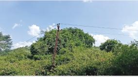 electric-cable-issue-in-hosur-forest-area