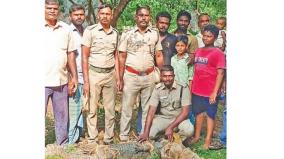 crocodile-got-trapped-on-a-house-garden-on-ilanangur-near-chidambaram