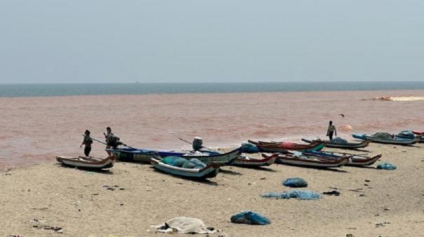 Sea Water Suddenly Turned Red on Puducherry