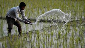 farmers-of-kanyakumari-are-worried-as-banana-coconut-and-cassava-crops-are-drowned-on-rain-floods