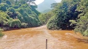 floods-on-puliyancholai-forest-department-bans-tourists