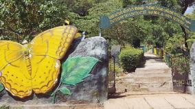 aliyar-butterfly-park