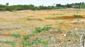 tirunelveli-cultivation-of-car-season-without-hands-on-a-fenced-village-for-paddy