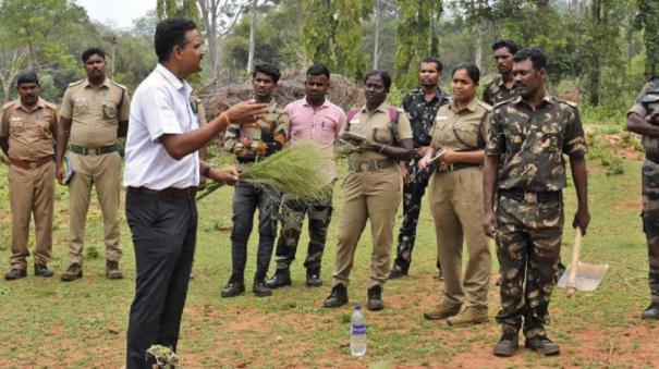 50 Acres of Grassland on Coimbatore Forest to Meet the Food Requirement of Wild Animals