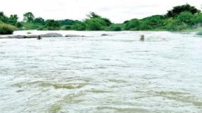 continued-rains-on-nellai-tenkasi-kanyakumari-increase-on-water-flow-on-tamiraparani-river