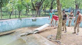 new-creatures-arrivals-to-vellore-amirthi-zoological-park