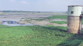 kelavarapalli-dam-turned-into-sewage-pond