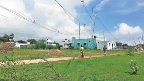 electric-cables-carried-by-supporting-bamboo-poles-in-puducherry