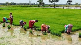 organic-farming-increases-soil-fertility