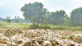tons-of-leather-waste-on-ambur-farm-ponds-does-the-collector-know-this-is-happening