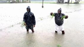 due-to-continuous-rains-for-two-days-paddy-crops-were-submerged-on-water-on-bahour-area