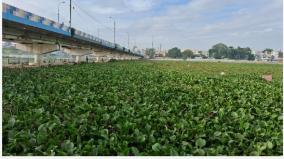 cleaning-of-maduri-vaigai-river