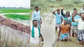 in-thiruvarur-mayiladuthurai-and-karaikal-rain-water-does-not-drain-into-the-fields-due-to-the-drains-not-being-cleared