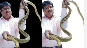 first-doctor-to-perform-cancer-surgery-on-a-snake-in-coimbatore