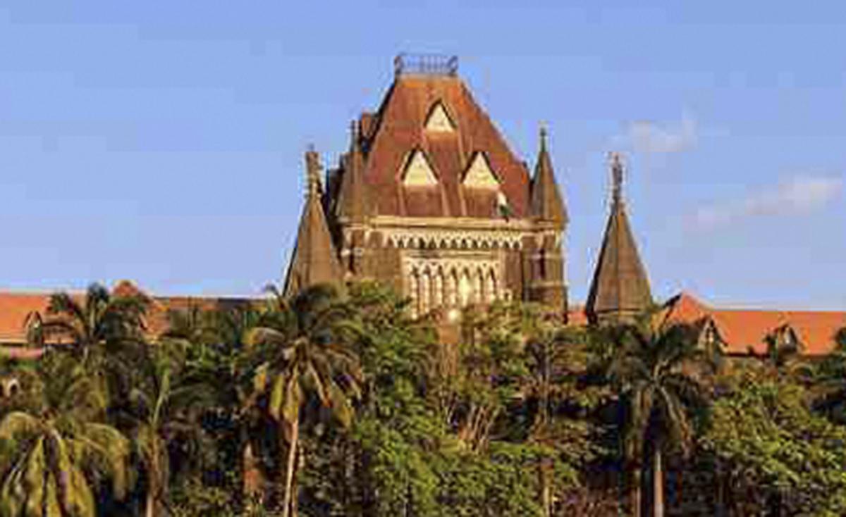 தத்து கொடுத்தபின் பாலியல் வன்கொடுமையால் பாதிக்கப்பட்டவரின் குழந்தைக்கு டிஎன்ஏ பரிசோதனை செய்வது சரியல்ல: மும்பை உயர் நீதிமன்றம் | DNA test of rape victim’s child after adoption not valid: Bombay High Court