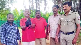 trichy-forest-department-rescued-the-rare-species-of-wooddogs-and-released-them-into-the-forest