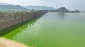 water-turned-green-in-mettur-dam-people-suffer-due-to-bad-smell