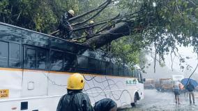 241-mm-rain-recorded-in-lower-kothagiri-in-nilgiri-mountain-train-services-canceled