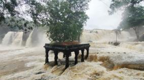 heavy-rain-at-dawn-on-kanyakumari-tirparappu-waterfalls-rivers-flood