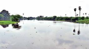 dams-are-filling-up-fast-on-nellai-and-tenkasi-district-due-to-continuous-rains