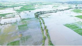 stagnant-rain-water-on-250-acres-near-bhuvanagiri-farmers-worried