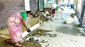 ambur-bus-stand-turned-into-a-cowshed
