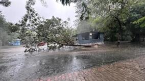 damage-at-vandalur-zoo-michaung-cyclone