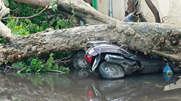 Cyclone Michaung |measures taken to get vehicles repaired and insurance - TN Govt