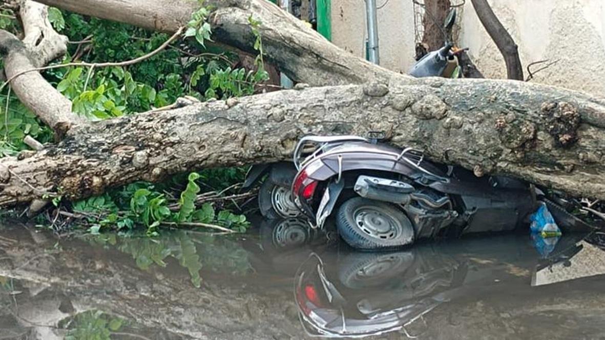புயல் பாதித்த 4 மாவட்டங்களில் வாகனங்களை பழுதுநீக்க அரசு எடுத்துள்ள நடவடிக்கை – போக்குவரத்து துறை விளக்கம் | Cyclone Michaung |measures taken to get vehicles repaired and insurance – TN Govt